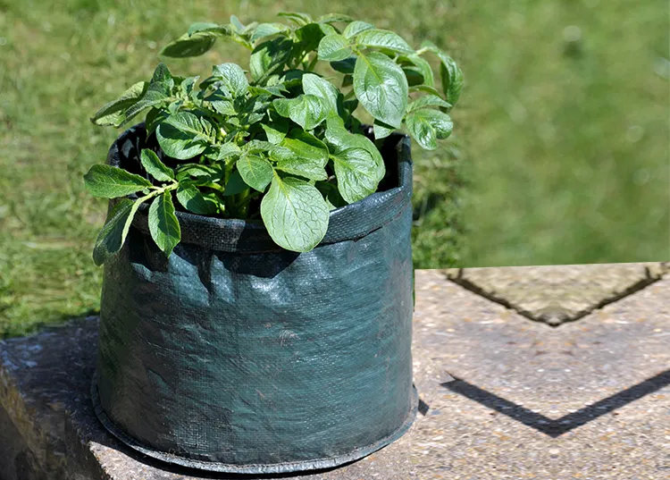 Centenary Geotex Pvt. Ltd