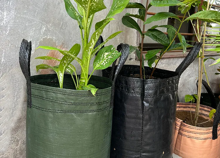 Centenary Geotex Pvt. Ltd